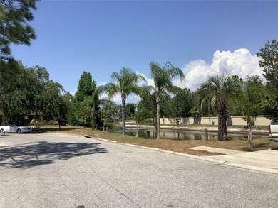 Beautiful buildable VACANT RESIDENTIAL Lot in great established - photo 3