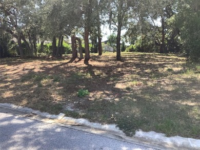 Beautiful buildable VACANT RESIDENTIAL Lot in great established - photo 4