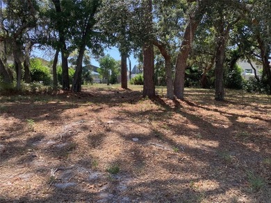 Beautiful buildable VACANT RESIDENTIAL Lot in great established - photo 7