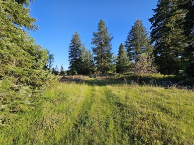 20 acres of PRIMARY LAKEFRONT on Eloika Lake! Several hundred - photo 8