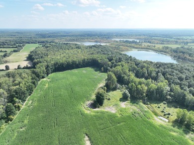 (private lake, pond, creek) Home For Sale in Holly Michigan