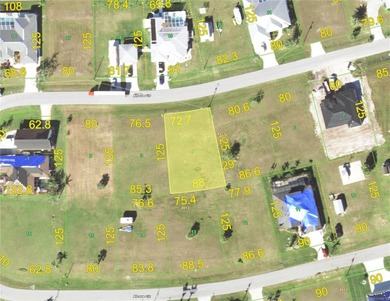 This lot is HIGH AND DRY and part of of DOUBLE LOT PACKAGE! - photo 4