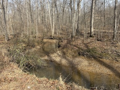 Pending: Tiny Cabin, 1+/- Acres & 5 mins to Boat Ramp - photo 4