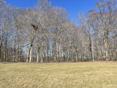 1.6 Acre Lake Cumberland Building Lot - photo 6