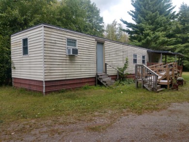 Lake Home For Sale in Mount Pleasant, Michigan