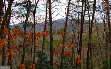 Cartecay River - Gilmer County Acreage For Sale in Ellijay Georgia