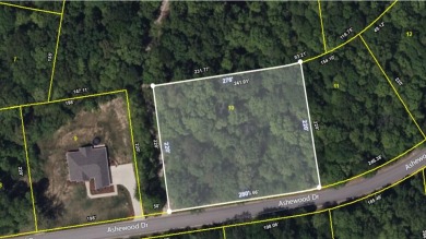 South Holston Lake Lot For Sale in Bristol Tennessee