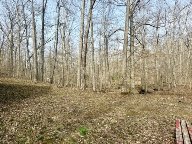 Pending: Tiny Cabin, 1+/- Acres & 5 mins to Boat Ramp - photo 8
