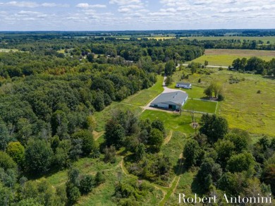 Lake Home For Sale in Cedar Springs, Michigan