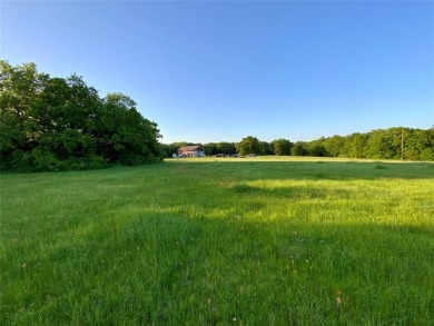 Lake Home For Sale in Thornton, Texas