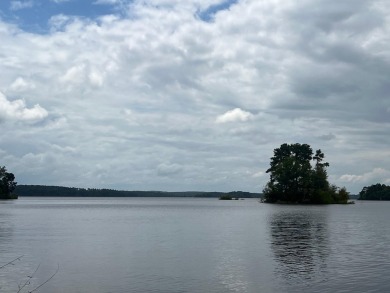 Lake Lot For Sale in Lincolnton, Georgia