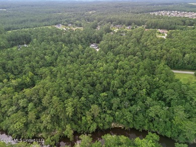 Discover the perfect opportunity to build your dream home on - photo 4
