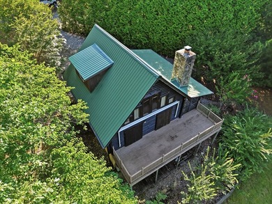 Beautiful log home overlooking the breathtaking waters of Dale - photo 2