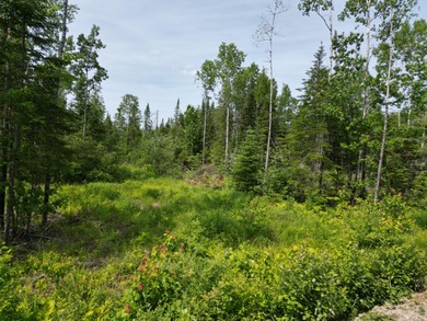 Lake Acreage For Sale in Lowell, Maine