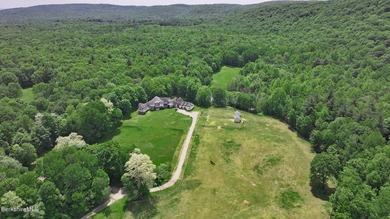 The Definition of Ultimate Privacy! A masterpiece of a home - photo 5
