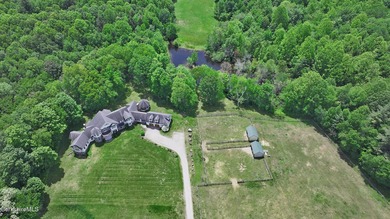 The Definition of Ultimate Privacy! A masterpiece of a home - photo 6