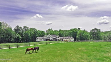 The Definition of Ultimate Privacy! A masterpiece of a home - photo 8