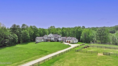 The Definition of Ultimate Privacy! A masterpiece of a home - photo 9