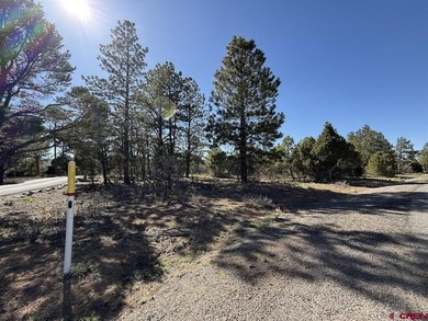 Katya Gorsky, United Country Sneffels Realty, C:,,: 2-Acre - photo 11