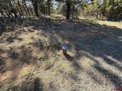 Katya Gorsky, United Country Sneffels Realty, C:,,: 2-Acre - photo 12