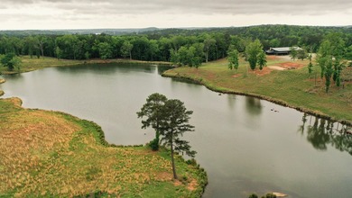 Still Mac Farm is a custom barndominium estate on 97 +/- acres - photo 1