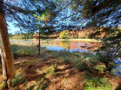 Lake Lot For Sale in Greenlaw Chopping Twp, Maine