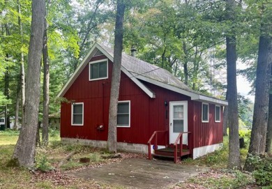 Lake Home For Sale in Baldwin, Michigan