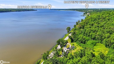 Experience one of the Midwest's most spectacular river views - photo 44