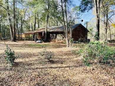 (private lake, pond, coastal) Home For Sale in Moselle Mississippi