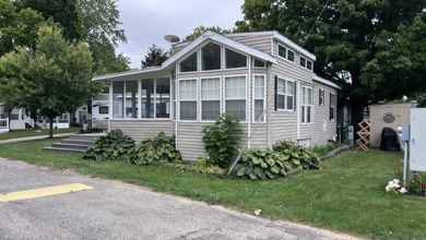 Lake Home For Sale in Sand Lake, Michigan