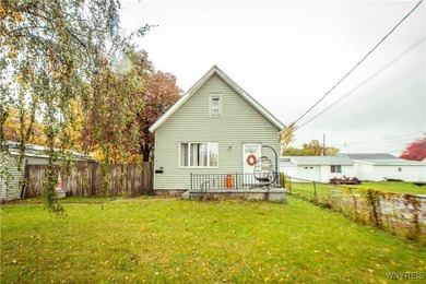 Lake Erie Home For Sale in Buffalo New York