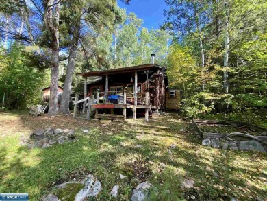 Lake Home For Sale in Cook, Minnesota