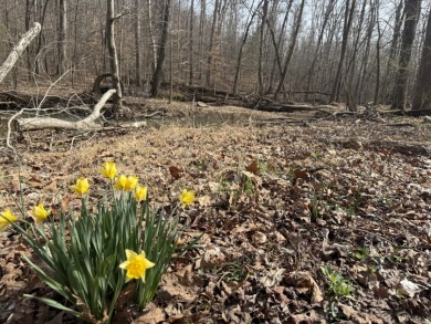 Pending: Tiny Cabin, 1+/- Acres & 5 mins to Boat Ramp - photo 5
