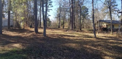 Lake Tyler East Lot For Sale in Troup Texas