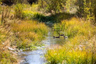 Set on over 5 acres of lushly landscaped grounds, the riverside - photo 36