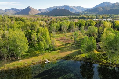 Set on over 5 acres of lushly landscaped grounds, the riverside - photo 37