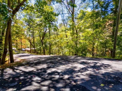 Dock-Able Cherokee Lakefront Lot - photo 7