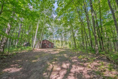 (private lake, pond, creek) Home For Sale in Leroy Michigan