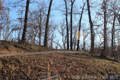 The hard part is already started-20.5+/- acres with utilities in - photo 31