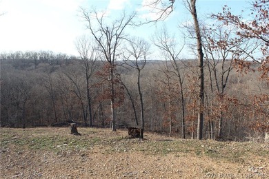 The hard part is already started-20.5+/- acres with utilities in - photo 33