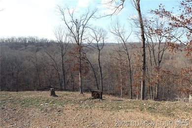 The hard part is already started-20.5+/- acres with utilities in - photo 33