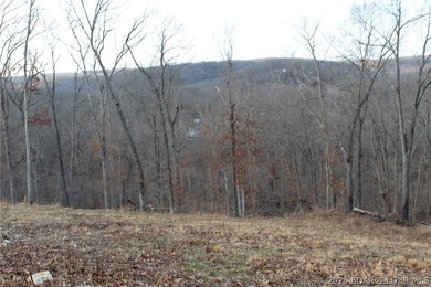 The hard part is already started-20.5+/- acres with utilities in - photo 35