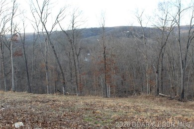The hard part is already started-20.5+/- acres with utilities in - photo 35