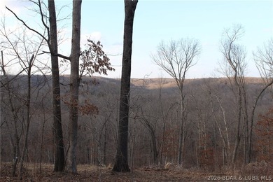 The hard part is already started-20.5+/- acres with utilities in - photo 36