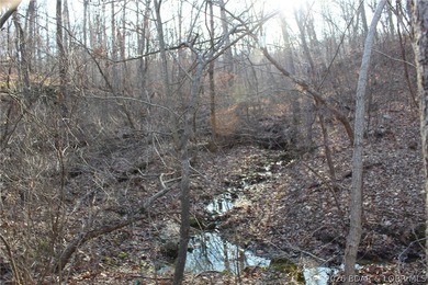 The hard part is already started-20.5+/- acres with utilities in - photo 38