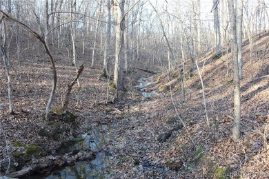 The hard part is already started-20.5+/- acres with utilities in - photo 39