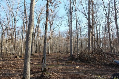The hard part is already started-20.5+/- acres with utilities in - photo 40