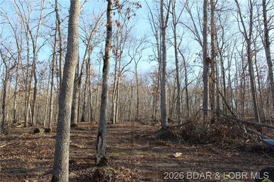 The hard part is already started-20.5+/- acres with utilities in - photo 40