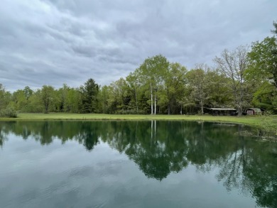 Lake Acreage For Sale in Gladwin, Michigan