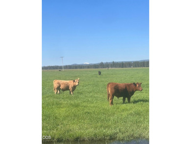 Bar Y Ranch and Pivots is a rare opportunity to acquire a - photo 11